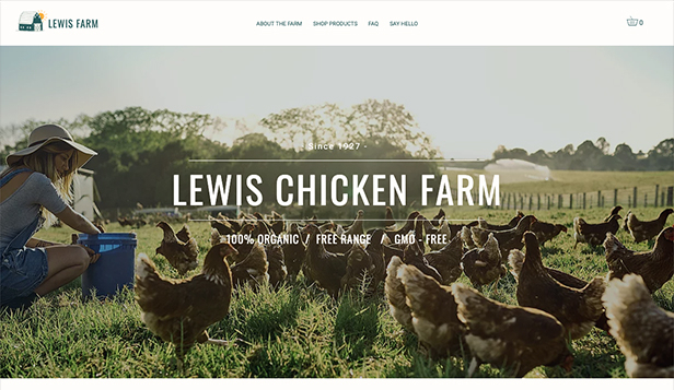 數字化轉型：如何在網站建設中實現數字化營銷