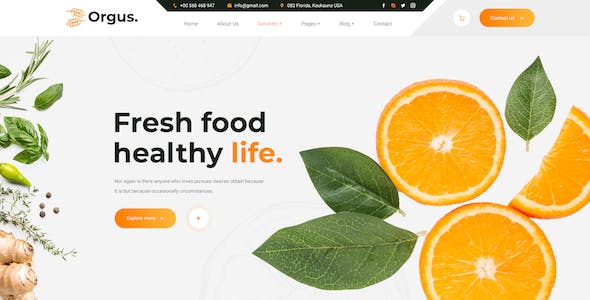 如何打造獨具品牌特色的網站建設方案